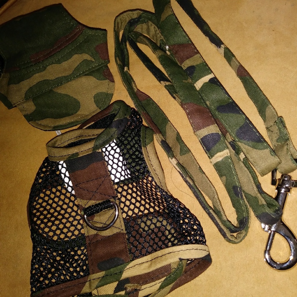 Doggy Harness Set